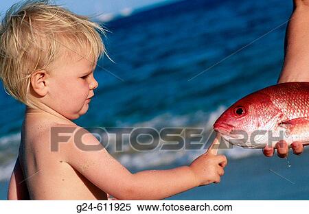 Little girl touching a red snapper. Baja California. Mexico View Large Photo Image Stock Photography - Little girl touching a red snapper. Baja California. Mexico. Fotosearch