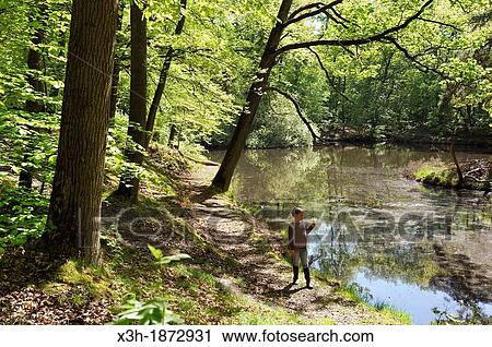 little girl walking around the Vilpert ponds around Saint-Leger-en-Yvelines, Forest of Rambouillet, Yvelines department, Ile-de-France region, France, Europe View Large Photo Image Stock Image - little girl walking around the Vilpert ponds around Saint-Leger-en-Yvelines, Forest of Rambouillet, Yvelines department, Ile-de-France region, France, Europe. Fotosearch