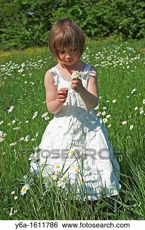 Little girl wearing white dress standing in field holding daisies portrait View Large Photo Image Stock Photograph - Little girl wearing white dress standing in field holding daisies portrait. Fotosearch
