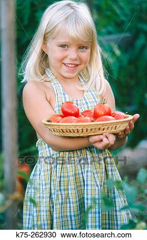 Little girl with a basket of plum tomatoes View Large Photo Image Stock Image - Little girl with a basket of plum tomatoes. Fotosearch