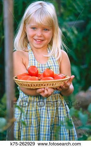 Little girl with a basket of plum tomatoes View Large Photo Image Stock Photo - Little girl with a basket of plum tomatoes. Fotosearch