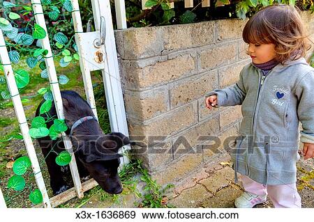 Little girl with a dog View Large Photo Image Stock Photo - Little girl with a dog. Fotosearch