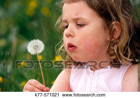 Stock Image - Little girl with dandelion in swedish meadow.? land. Sweden.. Fotosearch