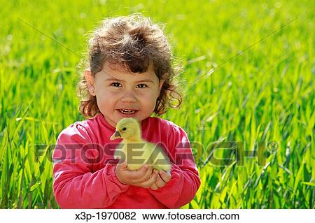 Little girl with goose chick. View Large Photo Image Stock Image - Little girl with goose chick.. Fotosearch