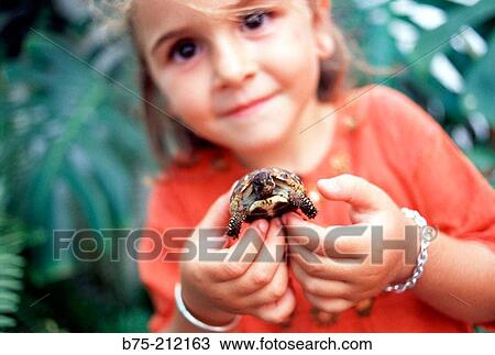 Little girl with turtle View Large Photo Image Stock Image - Little girl with turtle. Fotosearch