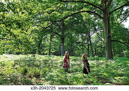 Little Girls Walking In The Forest At Rochers D Angennes Site Forest Of Rambouillet Departement Of Yvelines Ile De France Region France Europe Stock Photography X3h Fotosearch