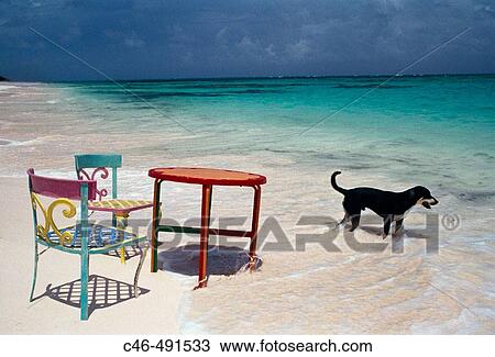 Little Winding Bay, Cat Island. Bahamas View Large Photo Image Stock Image - Little Winding Bay, Cat Island. Bahamas. Fotosearch