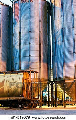 Livestock feed store in Duncan. Vancouver Island, British Columbia, Canada, 12 February 2006. View Large Photo Image Stock Photo - Livestock feed store in Duncan. Vancouver Island, British Columbia, Canada, 12 February 2006.. Fotosearch