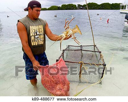 Lobster catcher. View Large Photo Image Stock Photo - Lobster catcher.. Fotosearch