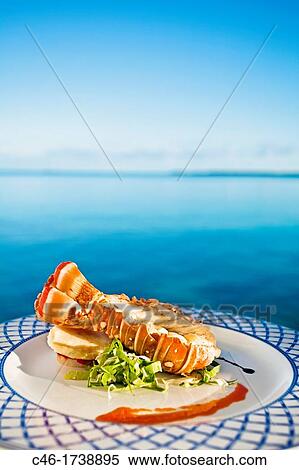 Lobster, Hotel Occidental Royal Hideaway Ensenachos, Cayo Ensenachos, near Cayo Santa Maria, Cayerias del Norte, Cuba. View Large Photo Image Stock Photography - Lobster, Hotel Occidental Royal Hideaway Ensenachos, Cayo Ensenachos, near Cayo Santa Maria, Cayerias del Norte, Cuba.. Fotosearch