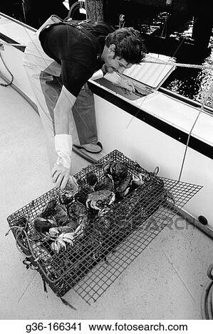 Stock Image - Lobstermen. Fotosearch