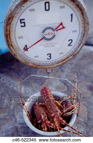 Lobsters. Mikonos. Cyclades Islands. Greece View Large Photo Image Stock Photography - Lobsters. Mikonos. Cyclades Islands. Greece. Fotosearch