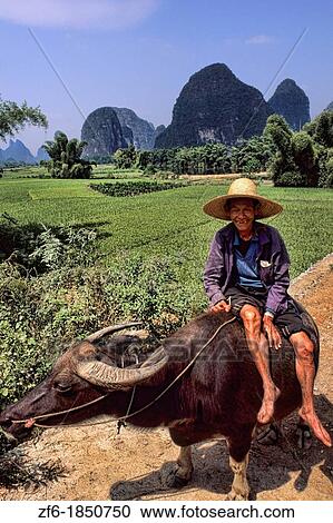 Local farmer smiling in mountain area of unique Guilin Yangshuo China. View Large Photo Image Stock Image - Local farmer smiling in mountain area of unique Guilin Yangshuo China.. Fotosearch