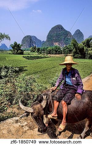 Stock Photo - Local farmer smiling in mountain area of unique Guilin Yangshuo China.. Fotosearch