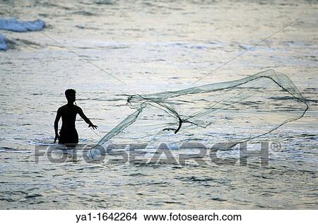 Local fisherman using a cast net in sea at dusk, Kalutara beach, Sri Lanka View Large Photo Image Picture - Local fisherman using a cast net in sea at dusk, Kalutara beach, Sri Lanka. Fotosearch