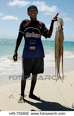 Local fisherman with two big octopus, Madagascar View Large Photo Image Stock Image - Local fisherman with two big octopus, Madagascar. Fotosearch