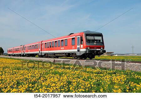 Local train of Deutsche Bahn AG to a flowering dandelion meadow near Memmingen View Large Photo Image Stock Photo - Local train of Deutsche Bahn AG to a flowering dandelion meadow near Memmingen. Fotosearch