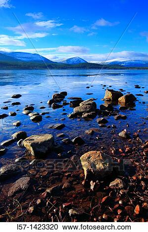 Loch Morlich, Cairngorms NP, Scotland View Large Photo Image Stock Image - Loch Morlich, Cairngorms NP, Scotland. Fotosearch