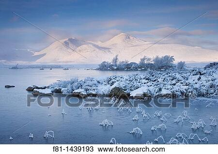 Lochan na h-Achlaise and Clach Leathad 1099m in winter, Rannoch Moor, Highland, Scotland View Large Photo Image Stock Image - Lochan na h-Achlaise and Clach Leathad 1099m in winter, Rannoch Moor, Highland, Scotland. Fotosearch