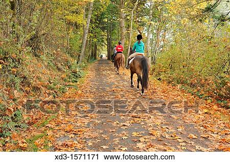 Lochside Trail, Saanich Peninsula, Victoria, British Columbia, Canada View Large Photo Image Stock Image - Lochside Trail, Saanich Peninsula, Victoria, British Columbia, Canada. Fotosearch