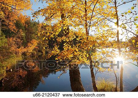Lockvattnet, Bjornlunda, Sweden View Large Photo Image Stock Photo - Lockvattnet, Bjornlunda, Sweden. Fotosearch