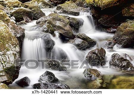 Lodore falls, Lake District, Cumbria, England View Large Photo Image Stock Image - Lodore falls, Lake District, Cumbria, England. Fotosearch