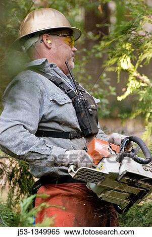 Logger with chainsaw trimming limbs on felled tree View Large Photo Image Stock Photography - Logger with chainsaw trimming limbs on felled tree. Fotosearch