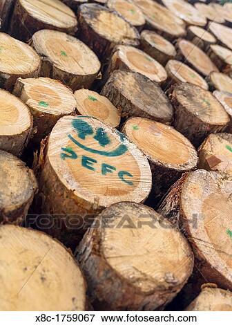 Logs harvested from sustainable forestry, in the Dolomites near the mountain range Rosengarten catinaccio View Large Photo Image Stock Photo - Logs harvested from sustainable forestry, in the Dolomites near the mountain range Rosengarten catinaccio. Fotosearch