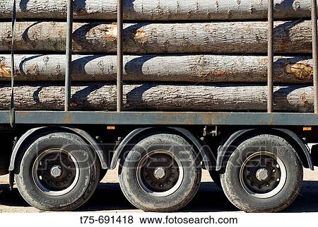 Logs View Large Photo Image Stock Photo - Logs. Fotosearch