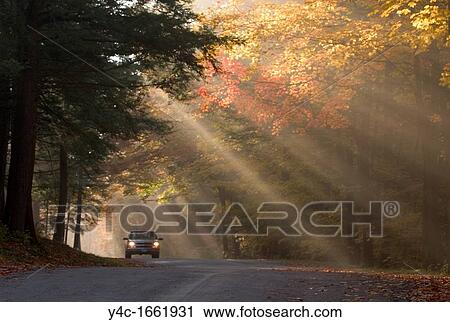 Lone car on road in backlit fog in fall colored trees in Chestnut Ridge Park in Western New York State View Large Photo Image Stock Image - Lone car on road in backlit fog in fall colored trees in Chestnut Ridge Park in Western New York State. Fotosearch