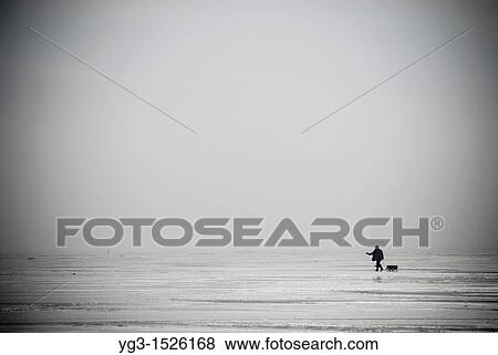 Lone Ice fisherman walking across a frozen Curonian Lagoon, Lithuania View Large Photo Image Stock Photo - Lone Ice fisherman walking across a frozen Curonian Lagoon, Lithuania. Fotosearch