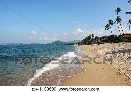 Lonely Beach on Ko Samui Island View Large Photo Image Stock Image - Lonely Beach on Ko Samui Island. Fotosearch