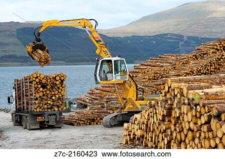 lorry of logs from a tree harvesting operation being unloaded by a track driven adjustable grab machine at the lochside on mull. View Large Photo Image Stock Image - lorry of logs from a tree harvesting operation being unloaded by a track driven adjustable grab machine at the lochside on mull.. Fotosearch