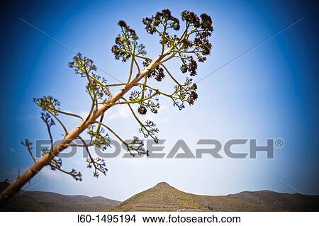 Los Albaricoques, Cabo de Gata, Almeria View Large Photo Image Picture - Los Albaricoques, Cabo de Gata, Almeria. Fotosearch