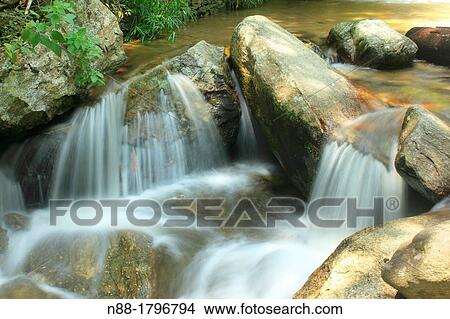Picture - Los Chorros Park Caracas. Fotosearch