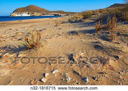 Los Genoveses beach, Genoveses Cove, Ensenada de los Genoveses, Cabo de Gata-Nijar Natural Park, Biosphere Reserve, Almeria province, Andalusia, Spain, Europe. View Large Photo Image Stock Photography - Los Genoveses beach, Genoveses Cove, Ensenada de los Genoveses, Cabo de Gata-Nijar Natural Park, Biosphere Reserve, Almeria province, Andalusia, Spain, Europe.. Fotosearch