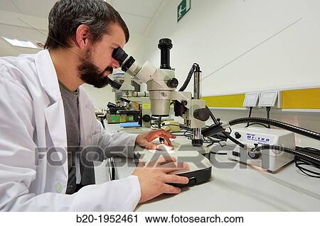 Stock Image - Loupe. Analysis of causes of failure of components and systems. Technological Services to Industry. Tecnalia Research & Innovation, Donostia, San Sebastian, Gipuzkoa, Basque Country, Spain.. Fotosearch
