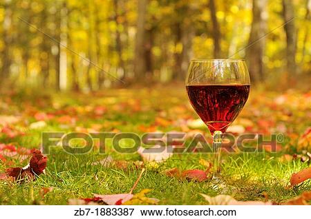 Low Angle Shot Of A Glass Of Red Wine During The Autumn Season View Large Photo Image Stock Photo - Low Angle Shot Of A Glass Of Red Wine During The Autumn Season. Fotosearch
