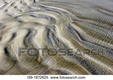 Low Tide is sand ripples on Crescent Beach in Florida. USA View Large Photo Image Stock Photography - Low Tide is sand ripples on Crescent Beach in Florida. USA. Fotosearch