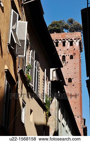 Stock Photo - Lucca (Italy): Torre Guinigi. Fotosearch