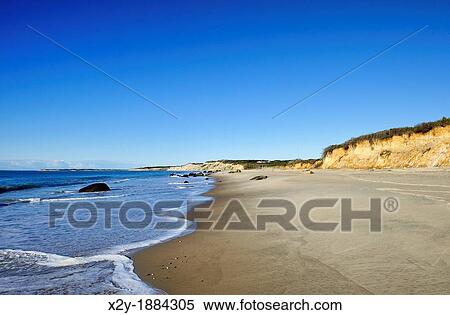 Lucy Vincent Beach, Chilmark, Martha's Vineyard, Massachusetts, USA View Large Photo Image Stock Photography - Lucy Vincent Beach, Chilmark, Martha's Vineyard, Massachusetts, USA. Fotosearch