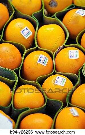 ? Lulos? for sale at La Boqueria market, Barcelona. Catalonia, Spain View Large Photo Image Stock Photograph - ? Lulos? for sale at La Boqueria market, Barcelona. Catalonia, Spain. Fotosearch