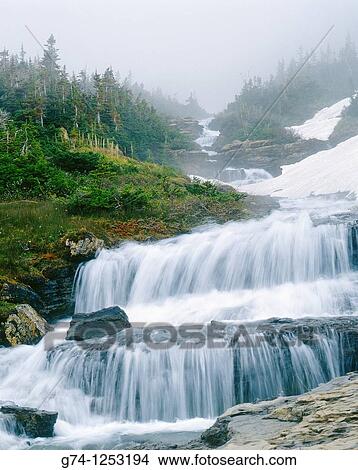 Picture - Lunch Creek Falls Glacier National. Fotosearch