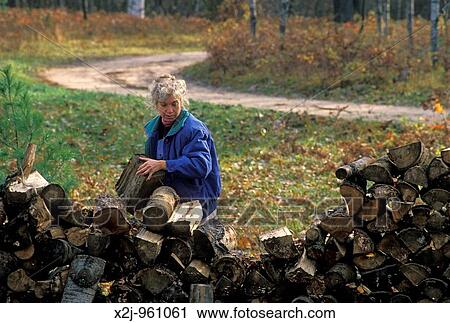 Lupton, Michigan - Susan Newell collects firewood to heat a cabin in the Rifle River State Recreation Area MR View Large Photo Image Stock Image - Lupton, Michigan - Susan Newell collects firewood to heat a cabin in the Rifle River State Recreation Area MR. Fotosearch