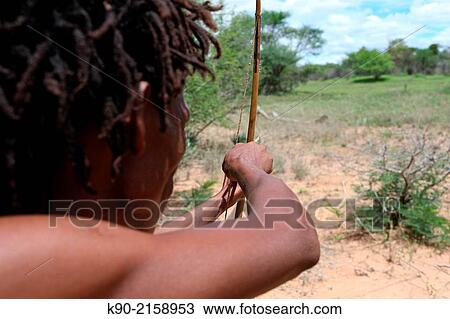 Lurking over the shoulder of a Ju/? hoansi San hunter who is aiming on his target with his arrow, Namibia, Africa. View Large Photo Image Stock Image - Lurking over the shoulder of a Ju/? hoansi San hunter who is aiming on his target with his arrow, Namibia, Africa.. Fotosearch