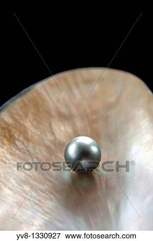 Lustrous grey pearl View Large Photo Image Stock Photo - Lustrous grey pearl. Fotosearch
