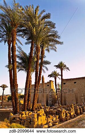 Picture - luxor temple. egypt.. Fotosearch