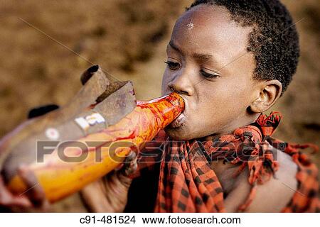 Maasai ritual. Drinking blood. Tanzania View Large Photo Image Picture - Maasai ritual. Drinking blood. Tanzania. Fotosearch