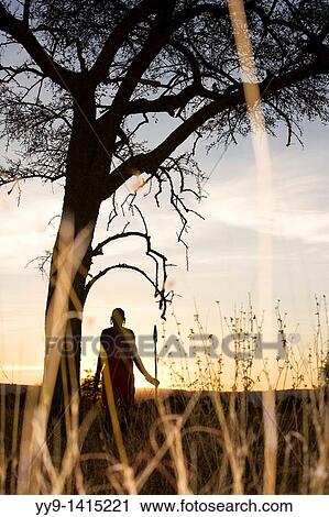 Maasai Warrior at Sunrise - Masai Mara National Reserve, Kenya View Large Photo Image Stock Image - Maasai Warrior at Sunrise - Masai Mara National Reserve, Kenya. Fotosearch