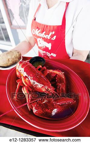 Mabel's Lobster Claw restaurant, Kennebunkport, Maine, USA View Large Photo Image Stock Photo - Mabel's Lobster Claw restaurant, Kennebunkport, Maine, USA. Fotosearch
